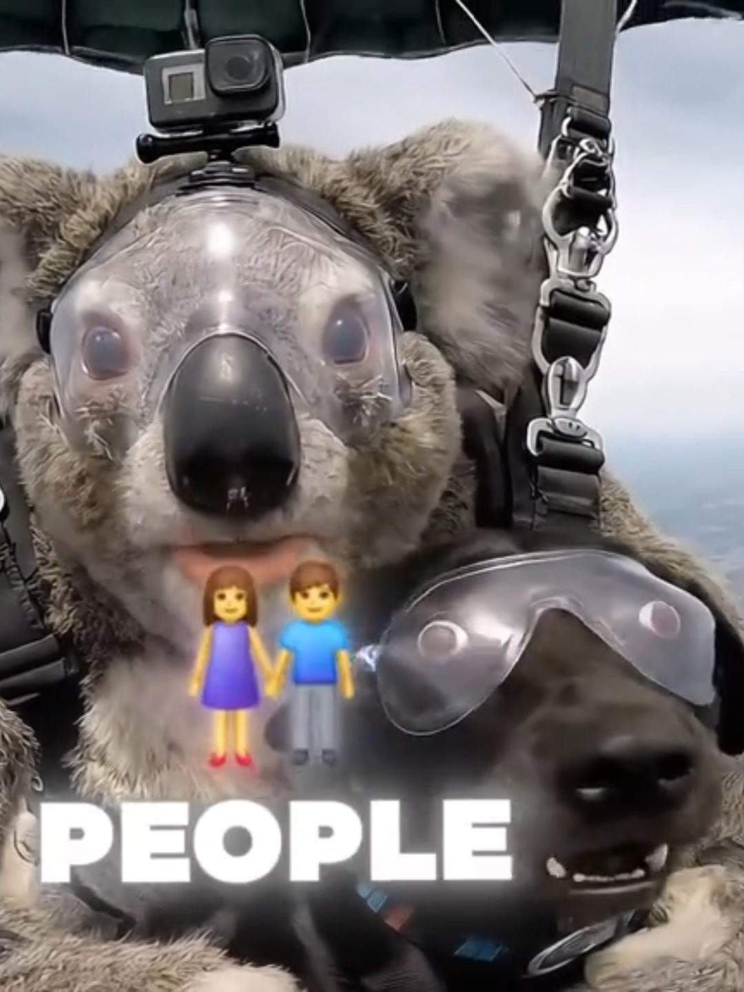 Good Doggo #ollythekoala #Bellbirdhollow #joke #fyp#bigfootvlogs