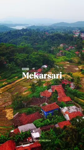 📍Desa Mekarsari, KBB Desa yang tenang di tepian Waduk Saguling, di mana rumah-rumah berdiri menghadap air, petani memanen padi di pinggir danau, dan suara masjid bergema dari tengah pemukiman. Di antara alam yang damai, warga bekerja, tumbuh, dan saling menghidupi. Mekarsari bukan hanya indah dari atas— tapi juga hangat dilihat dari dekat. 🌾🌊🏡 ⸻ #Hashtag: #DesaMekarsari #KBBUpdate #DroneDesa #WadukSaguling #PotretPedesaan #MasjidDesa #ExploreBandungBarat #JajawayWaterpark #SuasanaDesa #IndonesiaDariUdara #PemandanganDesa #PetaniIndonesia #DesaCantik #KampungHalaman #narasivisual 