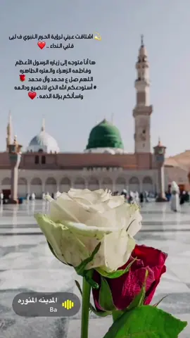 الحمدلله الذي بلغني الزياره 