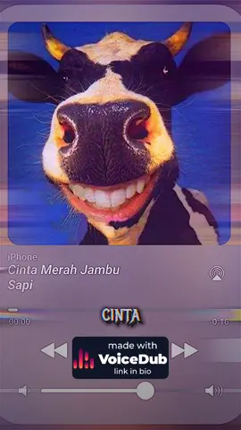 Cinta Merah Versi Sapi #sapi #animal #cintamerahjambu #aicover #fyp