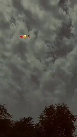 BilCol Yar ❤️‍🩹😩 #your_ali #foryou #foryourpage #viral #viralvideo #viraltiktok #unfrezzmyaccount #standwithkashmir 