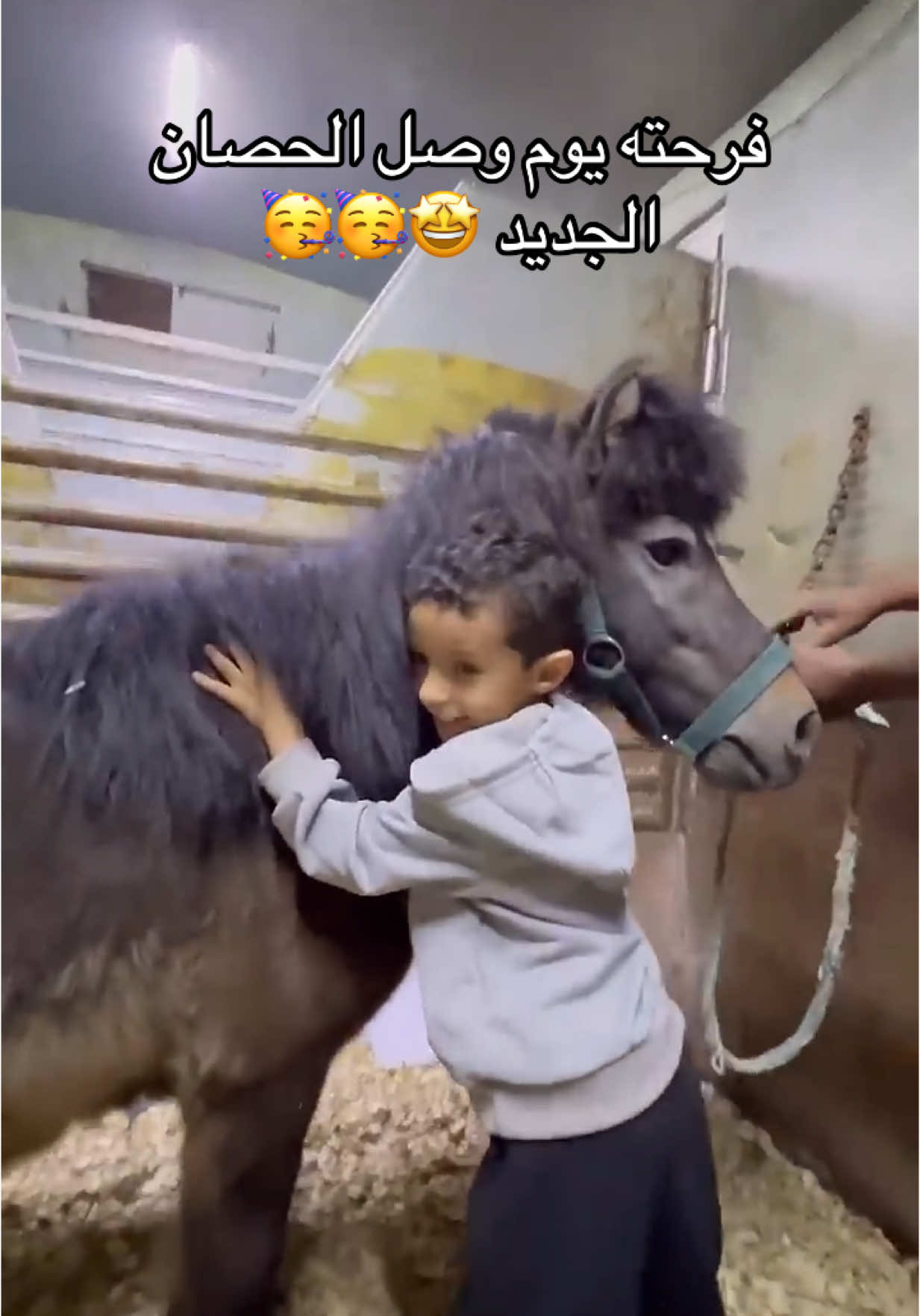 #مشرف_فارس 