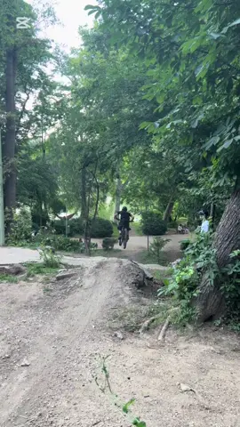 Pedala left the chat #fyp #makemefamous #mtb #kaufland #freeride #cannondale #fisura @່ ‍ ‍ ‍ @taviutu_ @efrem_090 @Tudy 