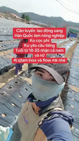 Ai muốn sang Hàn làm nông nghiệp thì inox và flow e nhé#xuhuong #nongnghiephanquoc🇻🇳🇰🇷 #laodongthoivuhanquoc 
