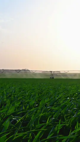 Irrigation season in Nebraska. 