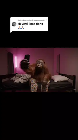 Membalas @iraaaaaaaaa012 udah nih🥰 #chalenge #orangutan #veo3 #chatgpt #harvanai #googlegemini #AI #luculucuan 