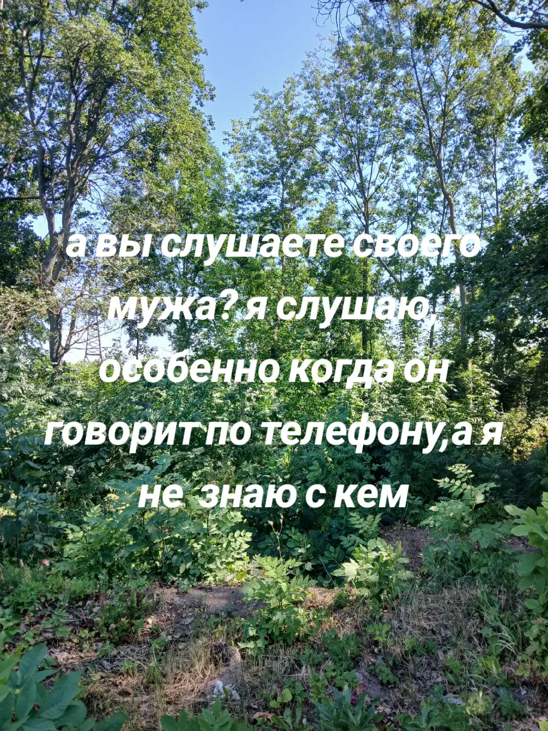 #слушаю мужа###