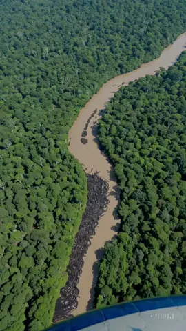 🛰️ During a covert environmental scan over the Congo Basin, a declassified drone spotted a strange rhythmic movement deep within the forest canopy. Scientists reviewing the footage noticed thousands of massive lizards appearing to move in synchronized patterns — an event never recorded before. Experts now believe it may be an ancient migration instinct reawakened, possibly triggered by rising temperatures or underground vibrations. 📂 Some officials claim this footage was never meant to be seen. But now… it’s out. 🦎 Could this be evolution in motion… or something else entirely? 👁️ Watch closely — what you’re seeing is 100% real and deeply unsettling. 📍 Captured in a remote zone between the Congo and Gabon border. #Liz#LizardMigrationn#CongoRainforestc#DeclassifiedFootageo#DroneDiscoveryl#WildlifePhenomenone#UnexplainedNaturep#ReptileSwarmr#ForestSecretse#ThermalFootagen#JungleAnomalyr#ViralWildlifee#DeepNaturereDroneFootage