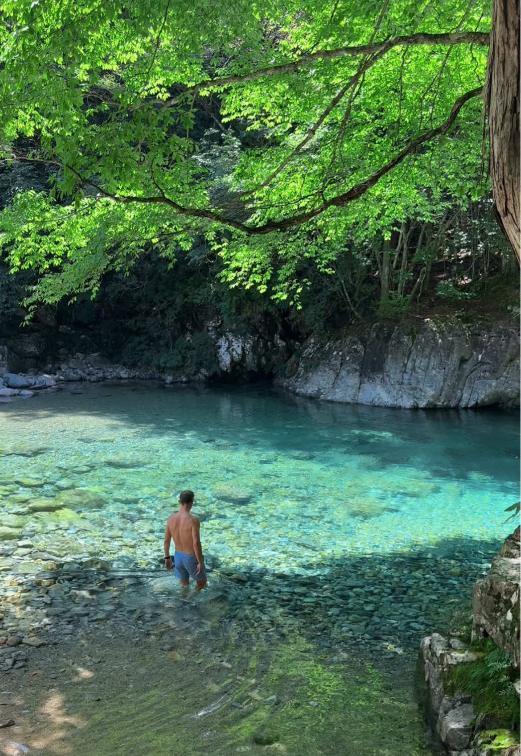 今年の夏、絶対に行ってほしい絶景スポット！！ 透き通る川はまさに桃源郷🏞️ #日本 #japan #夏 #絶景 #おすすめ 