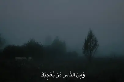 #محمد_صديق_المنشاوي #المنشاوي #fyp #quran #🎧 