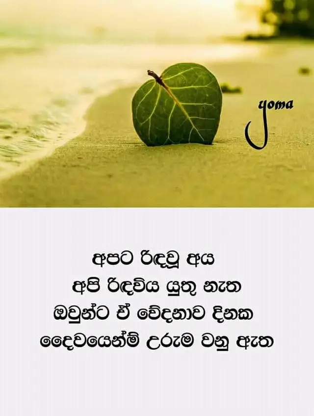 #Niranga#Hikkaduwa#foryou🙏