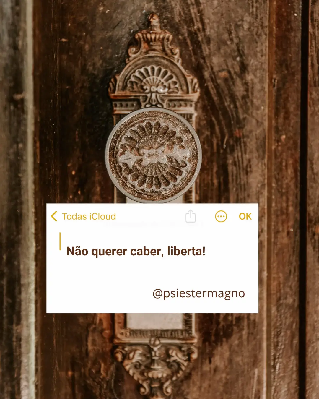 #compilados #frases #frasesereflexões #psicanalista 