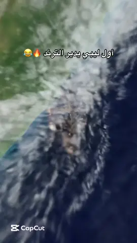 #ورشفانه_العزيزيه_الزهراء_الحشان_الساعديه #ليبيا_طرابلس_مصر_تونس_المغرب_الخليج 