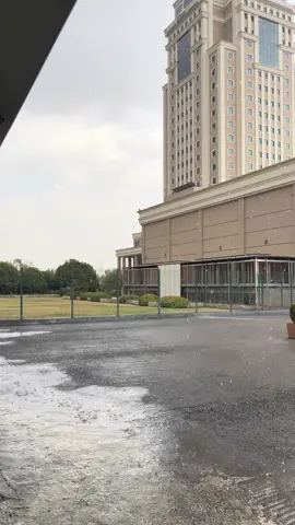rain 😍❤️‍🩹>#foryou #fyppppppppppppppppppppppp #fyp #imravo✅ #viral #kurdish #erbil #divan #fyfyfyfyfyfyfyfyfyfyfyfyfyfyfyfyfyfy #rain #Summer 