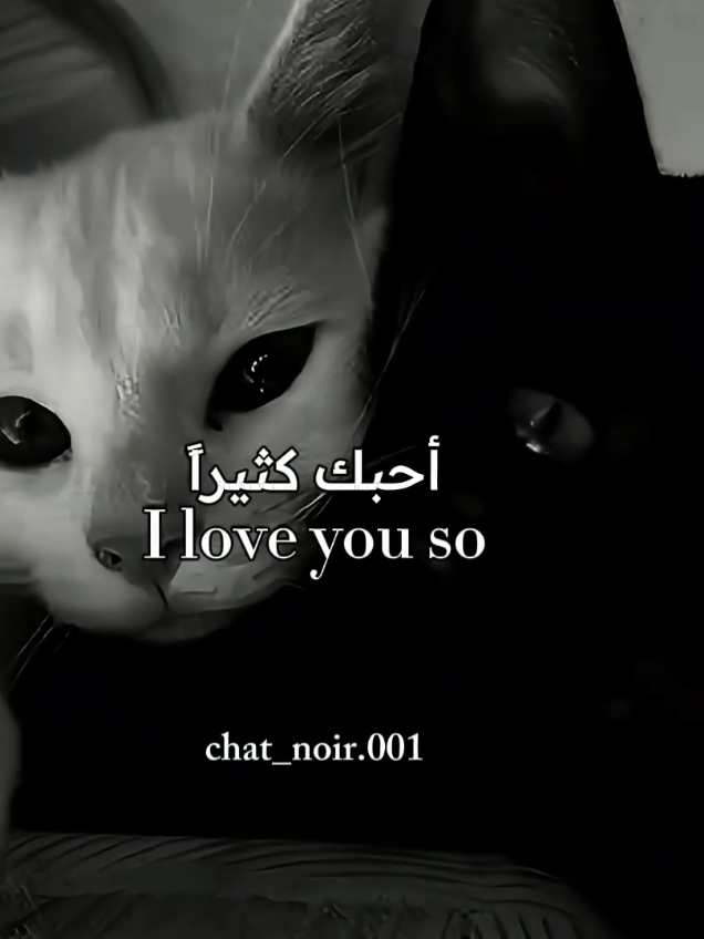 اغنية 