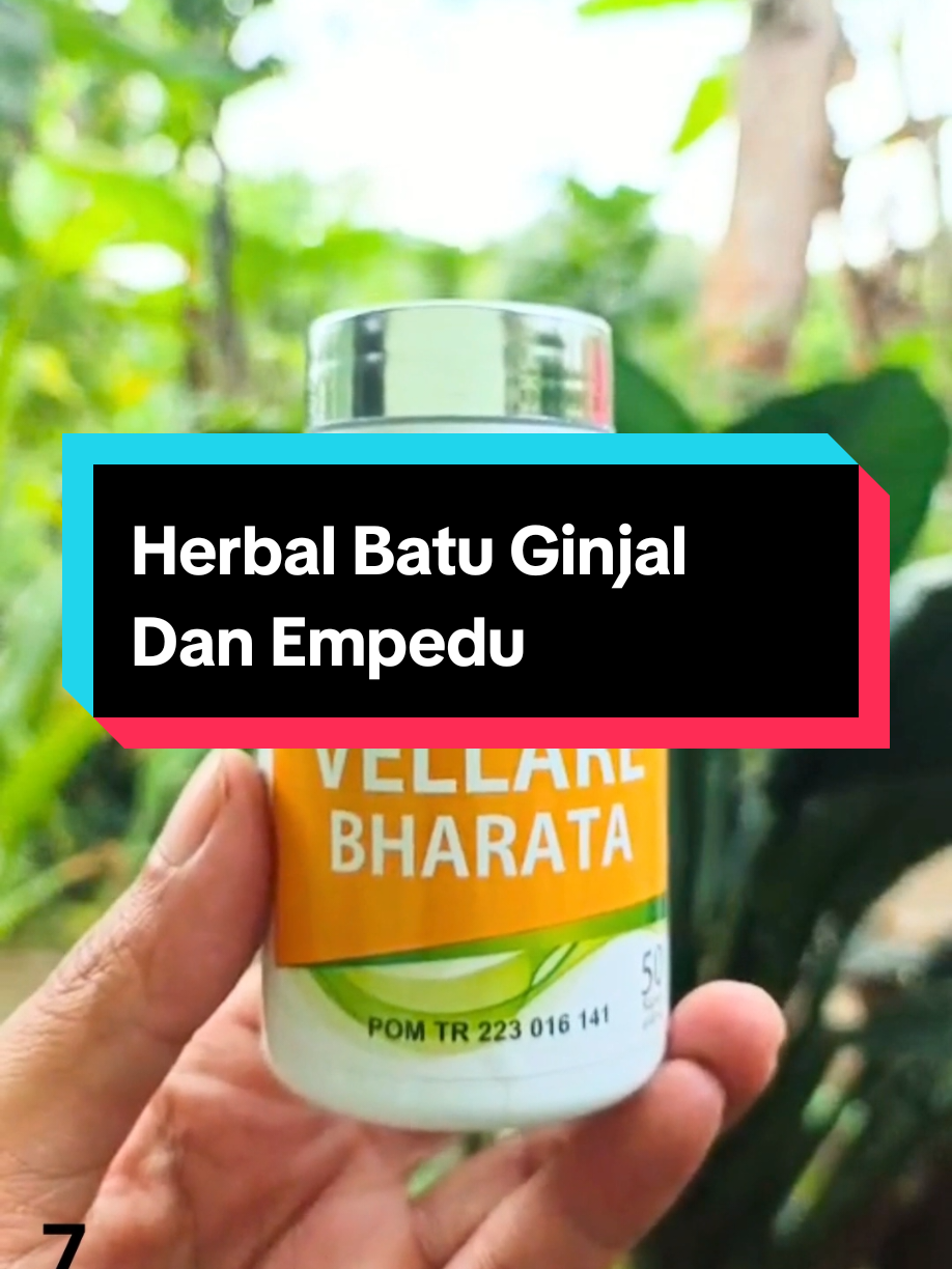 Vellare Bharata Original Herbal Batu Ginjal & Empedu Pesan Sekarang 🥰 #batuginjal #batuempedu #vellarebharata 