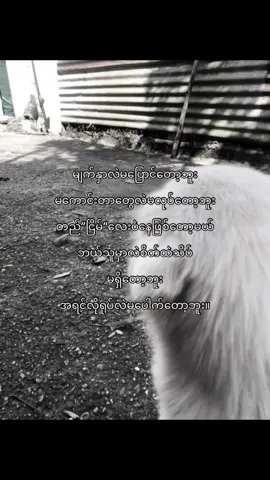 ရှက်တက်လာပြီး #fyp #livephoto #fypppppppppppppppppppppppp #cherry_zaw_hlaing #စာသားတူရင်crd 