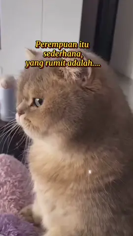 🤣🤣🤣😝🤭 #story #quotes #fyp #fypシ #fy #sabahancrew_fams #sabahantiktokers #foryoupage #masukberanda #foryou #tiktokviral 