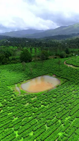 Welcome to our own God's own country #nature #keralam #naturelove #naturelovers #naturevibes #naturelover #godsowncountry 
