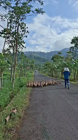sangat indah mengingat masa lalu🫩🫩 #naturalvibes #explore 