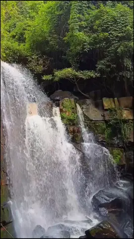 น้อยคนจะรู้จักน้ำตกนี้ 💚🌳🏞️🌻 เป็นน้ำตกที่เงียบสงบมาก  #น้ำตกไผ่สีทอง #พิษณุโลก 