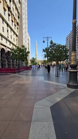#المدينه_المنورة 