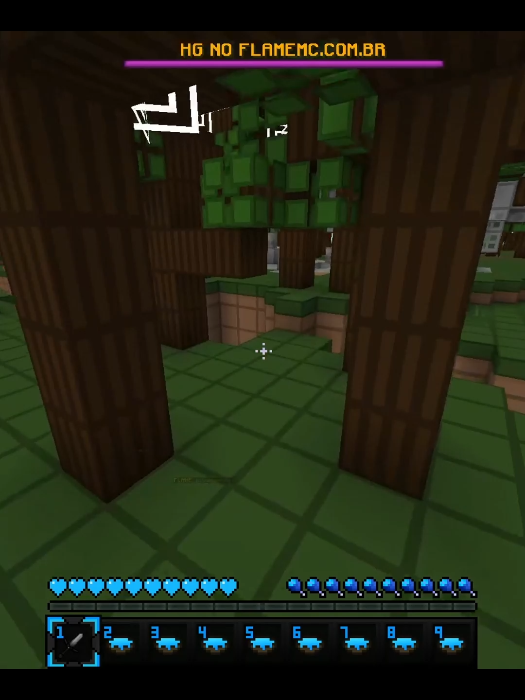 perfect #minecrafthg #minecraftpvp #minecraftclips