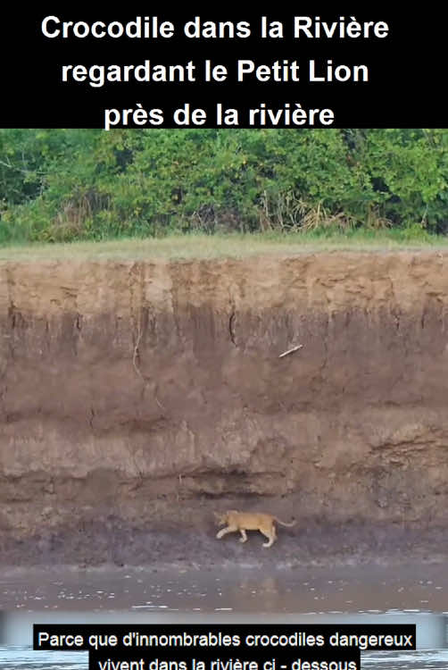 #foryou #france🇫🇷 #france 