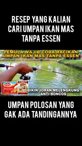 Umpan Ikan Mas Tanpa Essen Yang Kalian Cari #umpanikanmas #mancingikanmas 