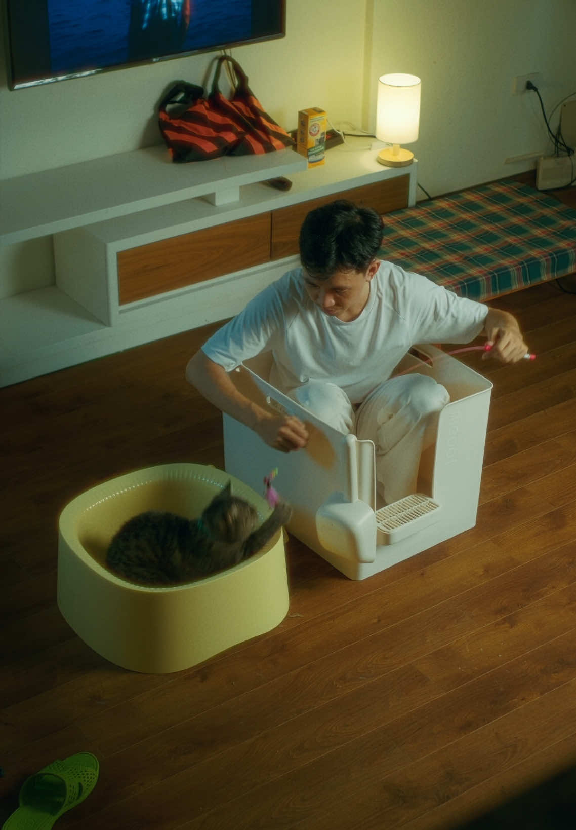 Chậu cát xúc tay cỡ LỚN - VỪA nhà MEOOF: giúp tiết kiệm cát và giảm thiểu tình trạng bết đáy, đặc biệt tối ưu với nhà bạn nào nuôi nhiều mèo, mèo size to #mookipet #meoof 