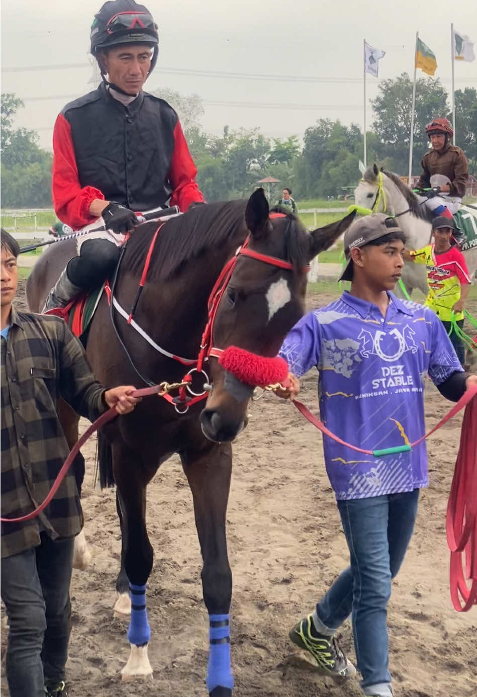 Wonderland🐎🐎 Penyisihan kejuaraan nasional pacuan kuda pordasi ke-59 seri-1 tahun 2025 INDONESIA DERBY 2025🏆🏆 #masyaallahtabarakkallah  #mahadana_stable #mahadanastable #sarga #sargaco #pacuankuda  #jualkuda #jualbelikuda #pordasi #ihrc #wild_child_store #wildchildstore 