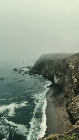coast