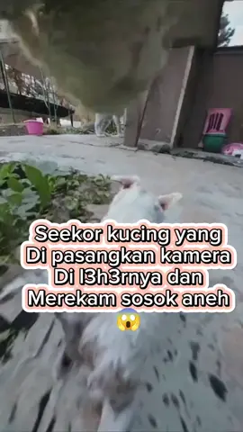 Kira2 ini mahluk halus apa siluman😱 #fypviral  #reelviral  #masukberandaviral  #vidioviral  #beritaviral  #trending  #masukberandafyp  #silumanviral semuaorang
