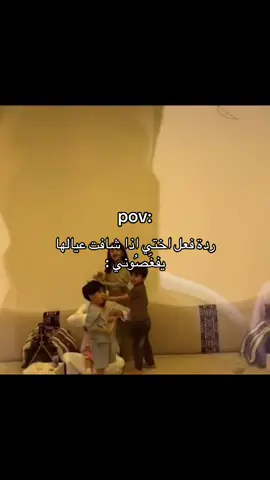#قروب_ابو_حصه #ابو_حصه #ابو_عجيب #fyp 