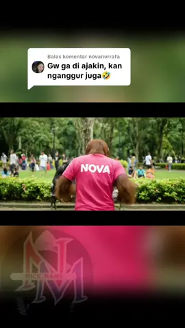 Membalas @novanurrafa 😅😅😂😂🫵 @vieqry13  #orangutan #monkey #hiburan #animal #fyp #fouyou #veo3 #videolucu #funny 