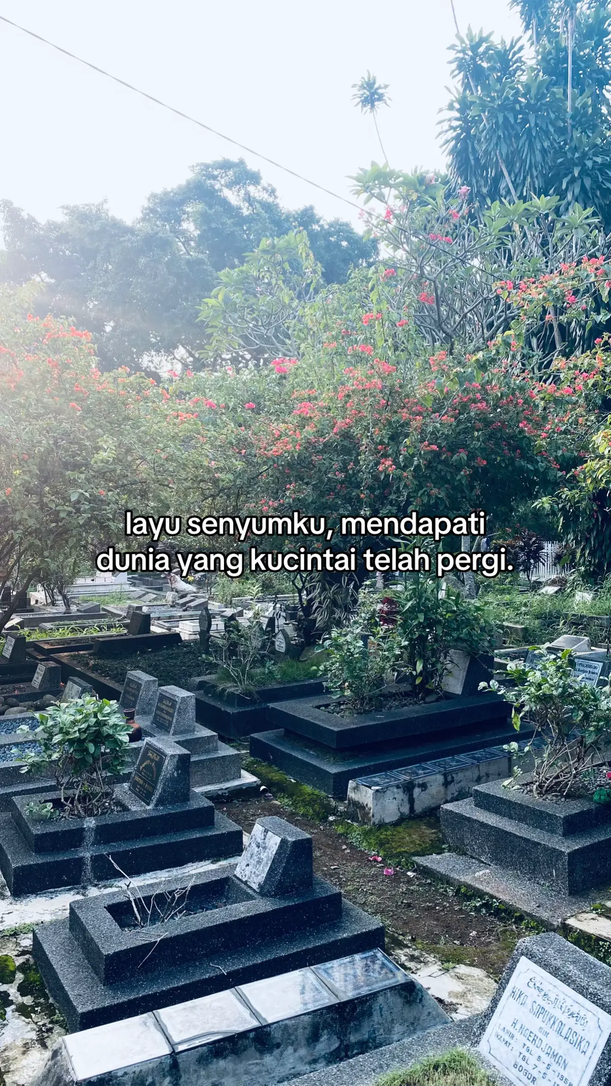🥀 #4u #fyp #lasthome 