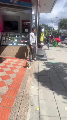 #paratiiiiiiiiiiiiiiiiiiiiiiiiiiiiiii #viralvideos #celadog #amorperruno #cosechas #cosechas