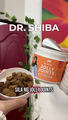 May ARTHRITIS na ba ang FURRBABY mo? Check this out! “Dr. Shiba Jolly joints” for their joints and bone health 🤗♥️💯  #drshiba #drshibajollyjoints #drshibajollyjointstreats #jollyjoints #dogsupplements #dogarthritis #arthritissupplementfordog #bubbyfinds 