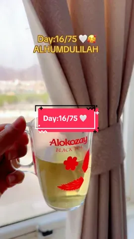 Day:16/75 calories deficit 🤍 #myweigjtlossjourney #desidietplan #75daysmediumchallenge #under800calories #caloriescount 