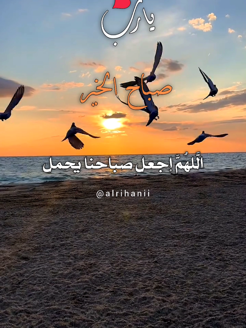 اللهم اجعل صباحنا يحمل بشرائر خيرك وعفوك #دعاء_يريح_القلوب #دعاء_جميل #اللهم_صلي_على_نبينا_محمد #اللهم_امين_يارب_العالمين #alrihanii 