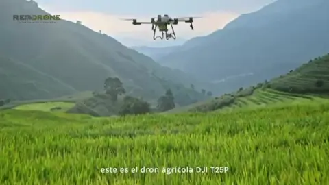 ¡Presentamos el DJI Agras T25P, tu aliado incondicional en la agricultura! �Compacto, potente y preciso, este dron está diseñado para llevar la eficiencia al siguiente nivel: ✅ Tanque de pulverización de 20 L y tanque de esparcimiento de 30 L ✅ Pulverización de hasta 16 L/min con aspersores centrífugos de doble atomización ✅ Sistema de seguridad mejorado con nueva plataforma de aviónica, sensores de triple visión y radar de ondas milimétricas 🔹 Más información: https://ag.dji.com/t25p 🛩️ En Refadrone ya contamos con equipos disponibles.�¡Ven a conocerlo y pregunta por nuestras opciones de capacitación y soporte técnico especializado! 📍 Visítanos o contáctanos: 📌 San Juan de los Lagos, Jalisco� 📍 Blvd. Lic. Ramón Martín Huerta #1450 A� 📞 395 118 0515 📌 Aguascalientes, Aguascalientes 📍 Viñedos Cariñan Local 120, Centro de Abastos Viñedos San Marcos� 📞 449 520 0017 #DJI #DJIAgriculture #DJIT25P #AgriculturalDrone #Refadrone #DronesAgrícolas