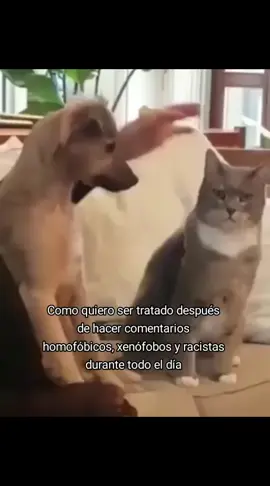 #humor