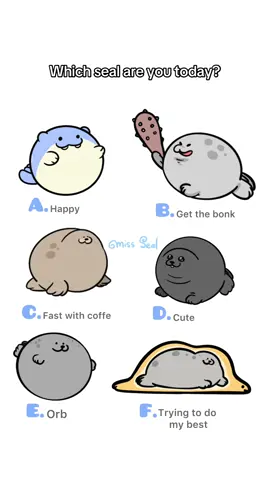 🦭? #seals #cuteanimals #seal #meme #kawaii #2danimation #animation #