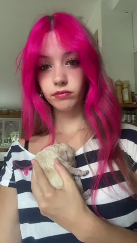 Vad tycker ni hon borde heta 😼 #rat 