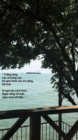 Tưởng rằng...💔 #tâm_trạng_buồn #biển #viral 