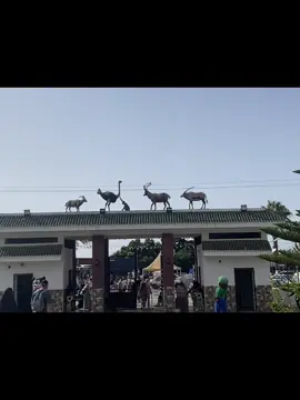 Djijel vraiment قوة ضاربة في السياحة #lesvacancesdesanges4 #البحر #الصيف #تيك_توك #videoviral #viraltiktok #viralvideos #جيجل #جيجل_jijel 