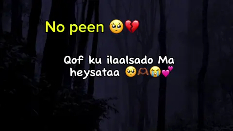 No peen 🤍#soomaali_tiktok🇸🇴🇸🇴 #fyppppppppppppppppppppppp #capcut 