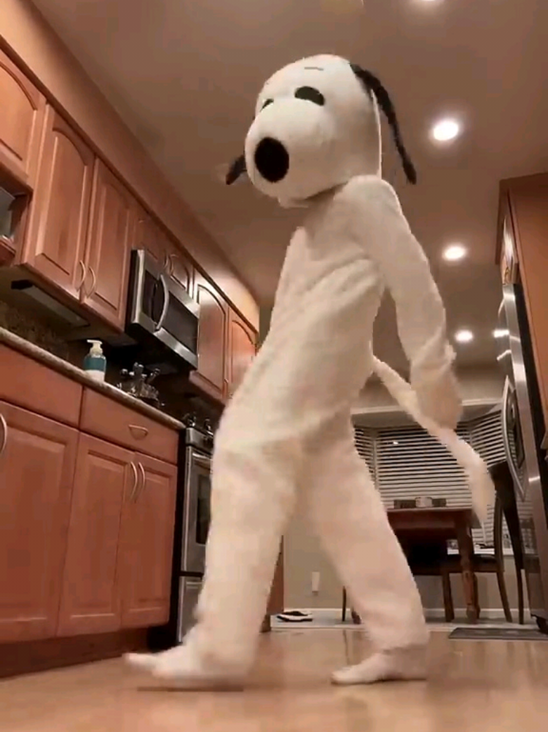 GO SNOOPY GO! 😂🔥 #snoopy #snoopylover #jerseyyjoe #dance 