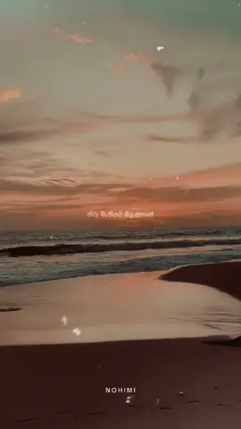 හිරු මැකීයයි නීල අහසේ! 🥺🌥️ #nohimi #නොහිමි #tiktok #tiktoktainment #whattowatch #blessed #emotional #lyricsvideo #newrelease #srilanka #sl #newmusic #pain #coversongs #brockenheart #brocken #hirumekiyai #malithperera 