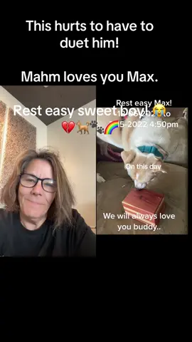 #duet with @CrazyDawgRescuer #grief my hardest part of not having him is having to watch his videos. He was such a good boy and didn’t deserve a brain tumor. Rest easy sweet boy. Momma loves you so very much. #petloss #teammax #rainbowbridge🌈 #pitbullsoftiktok #pitbull 